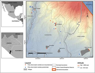 New Varieties of Coffee: Compromising the Qualities of Adaptive Agroforestry? A Case Study From Southern Mexico